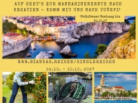 Singlereise zur Mandarinenernte nach Kroatien – Soloreisende und Singles bei der Mandarinenernte in Dalmatien nahe Tučepi